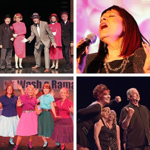 Special Interest Groups in PAC